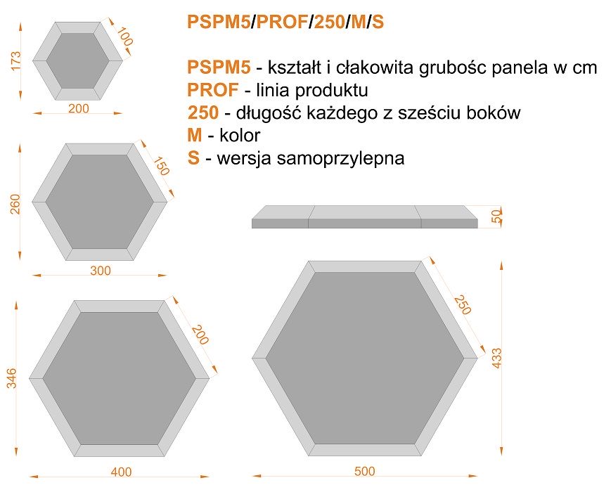 Wymiary PSPM5 PROF 100 150 200 250 M S